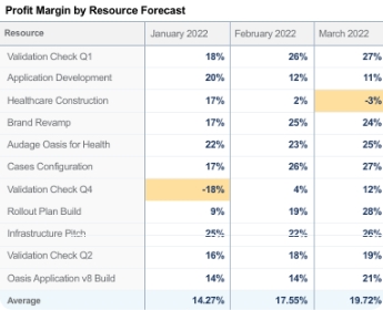 A report table depicting a profit by month per project assignment used by leadership to gauge their organization's health