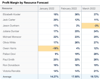 Sample report showing profit margin by resource over months.