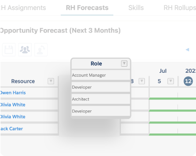 Depiction of how the Resource forecast and time tracking interfaces can be customized