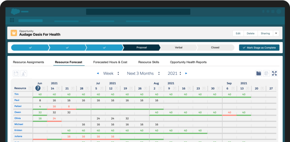 Screenshot depiction of the Resource Hero Forecast Matrix embedded onto a Salesforce page layout